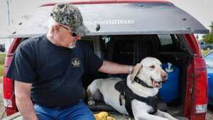 oil-spill-detecting-dogs-20160630